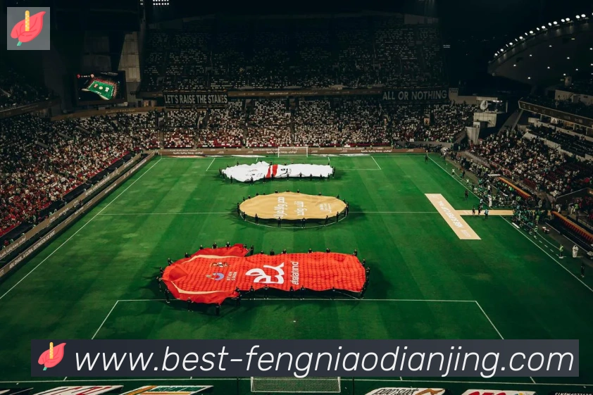 蜂鸟电竞荣誉